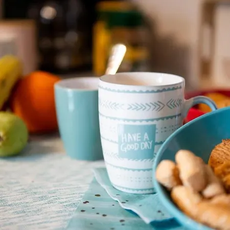 Mini Zen Nomad Maison - Calming & Charming Nest