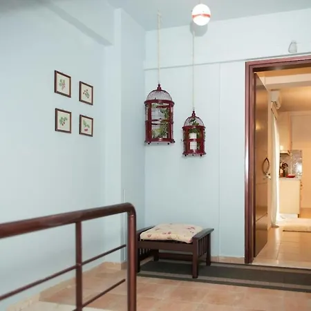 Mini Zen Nomad Maison - Calming & Charming Nest Akovítika