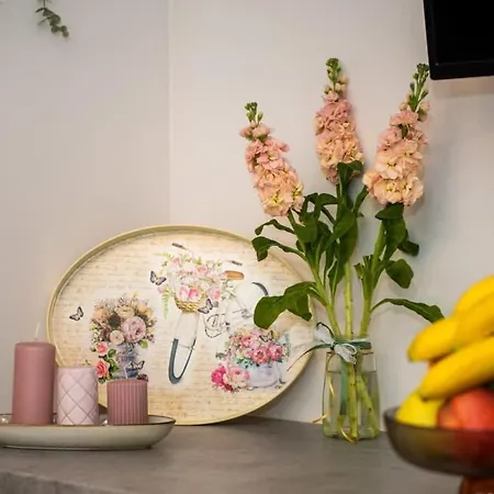 Mini Zen Nomad Maison - Calming & Charming Nest Apartament *