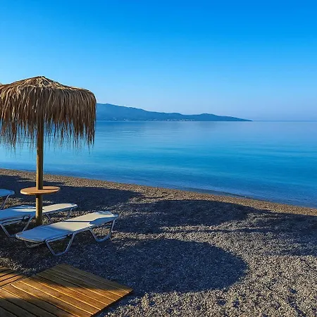 Mini Zen Nomad Maison - Calming & Charming Nest * Akovitika