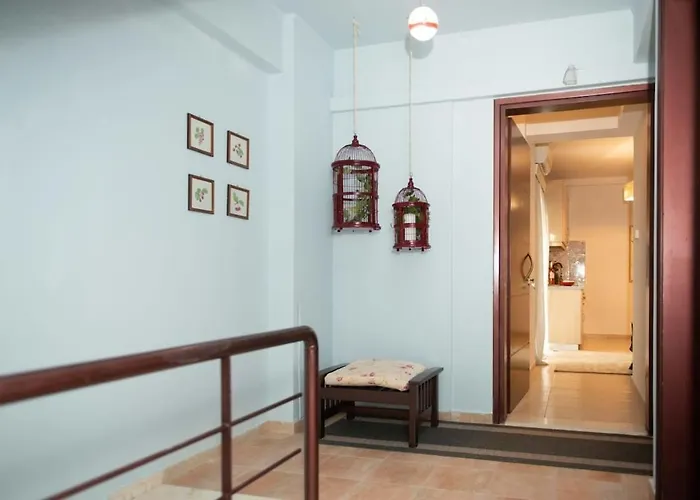 Mini Zen Nomad Maison - Calming & Charming Nest Akovítika