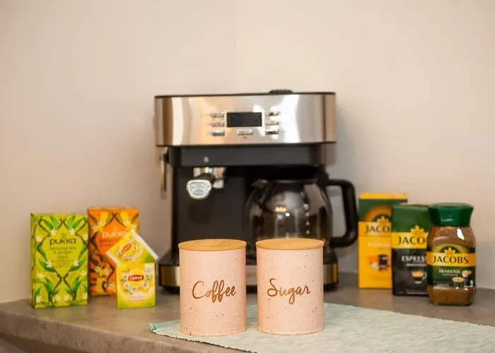 Mini Zen Nomad Maison - Calming & Charming Nest